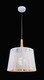 image 5 of Lantern Dome Ceiling Pendant Lamp White, 1 Light, E27