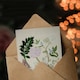 image 3 of Sarah Featon Art Card New Zealand Ligosticum Latifolium Flowers