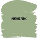 image 2 of Jenolite Directorust All-in-One Multi-Surface Paint - Sage Green Satin - 1L