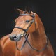 image 4 of Shires Salisbury Fairford Bridle Brown | Colour: Australian Nut
Size: Full