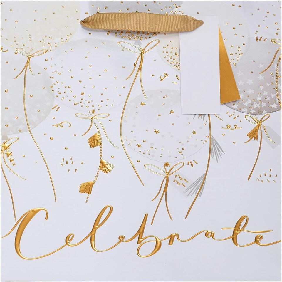 image 1 of Balloons Design Medium Gift Bag Birthday, Wedding, Congratulations. Anniversary for Any Occasion