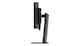 image 8 of Lenovo ThinkVision P49w-30, 124.5 cm (49 inches), 5120 x 1440 pixels, DQHD, LED, 6 ms, Black | Black | 119.8 cm