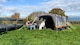image 4 of Discovery 6 Berth Inflatable Tent
