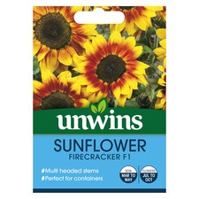 Sunflower Firecracker F1 | Multi | Yellow, Orange, Brown | Flower Seeds | 1