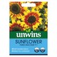 image 1 of Sunflower Firecracker F1 | Multi | Yellow, Orange, Brown | Flower Seeds | 1