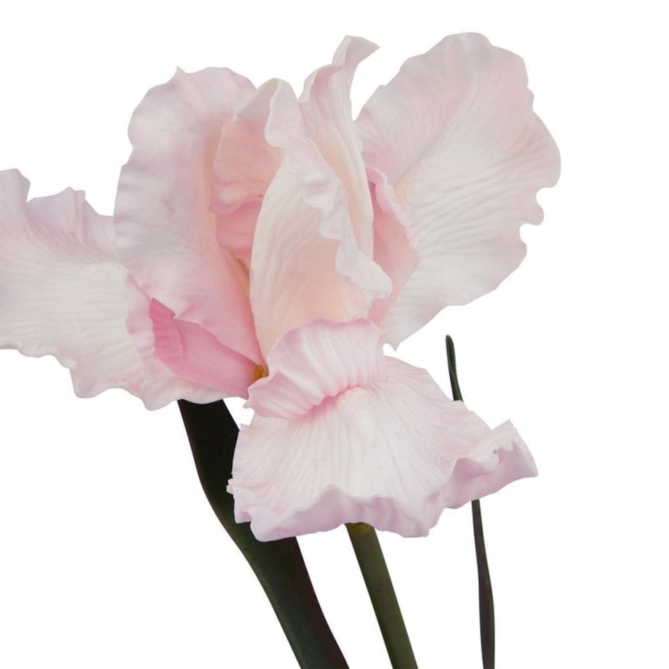 image 1 of The Natural Garden Collection Fringed Iris - Artificial Flower (Single Stem) - Plastic - L13 x W13 x H83 cm - Pale Pink