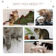 image 5 of PawHut Cat Tree Tower with Sisal Scratching Post Condo 114cm Light Grey