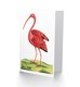 image 2 of Bird Scarlet Ibis Greetings Card