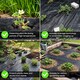 image 6 of Heavy Duty Weed Control Fabric - Landscape Membrane for Garden, Patios & Flower Beds | Black | 1m x 5m