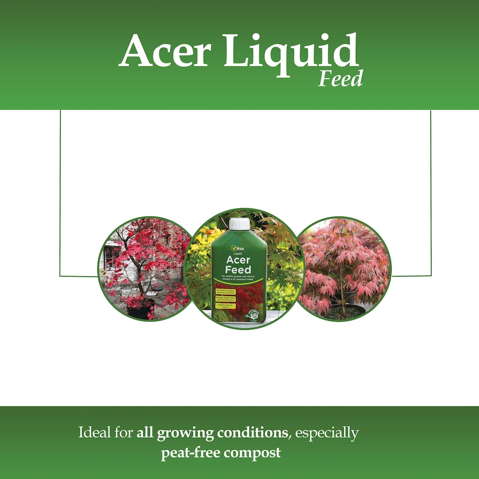 image 1 of Vitax Liquid Acer Feed 1L Concentrated Fertiliser for Japanese Maple Trees Acer Plants Vibrant Foliage and Root Growth
