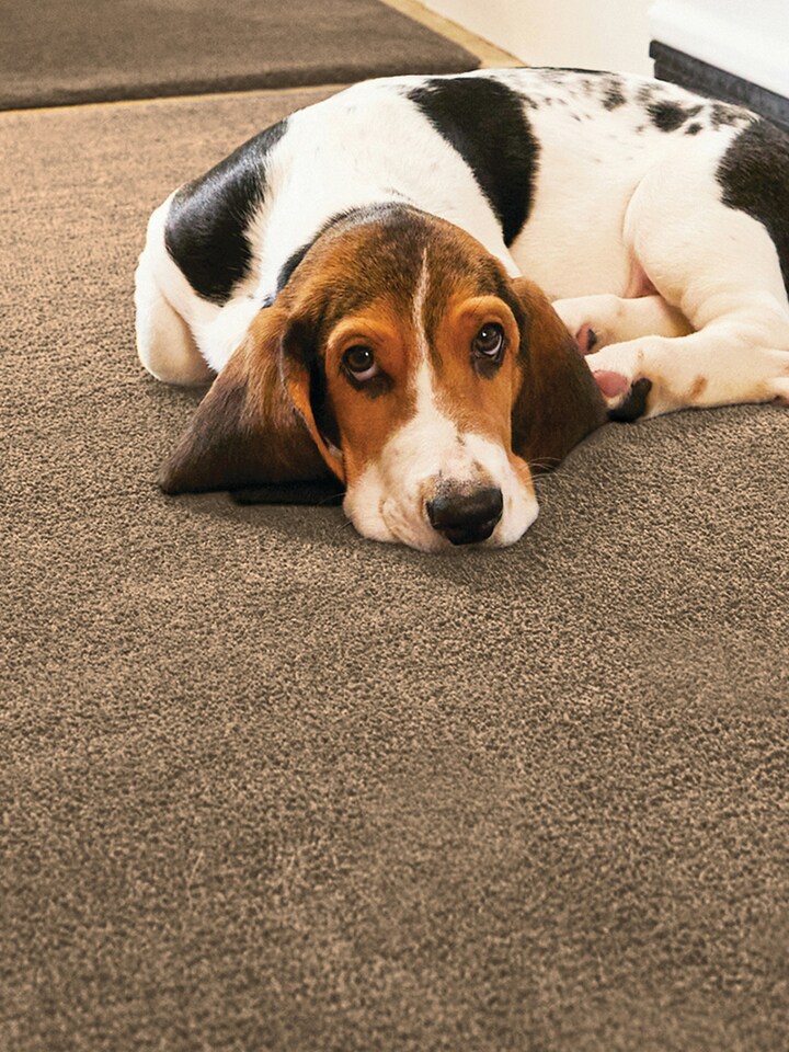 image 1 of Howler & Scratch Mat Soft Stone 80x100 Door Mat