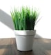 image 4 of 22cm Artificial Grass Plant