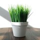 image 4 of 22cm Artificial Grass Plant