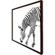 image 2 of Zebra (Picture Frame) Black | M