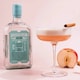 image 4 of Brighton Pavilion Strength Gin