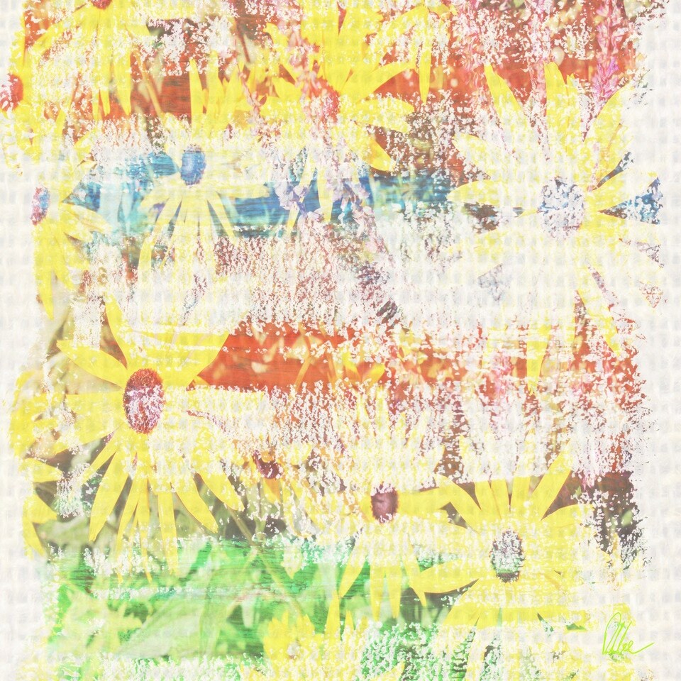 image 1 of Flower Burst (Canvas Print) 12" x 18"