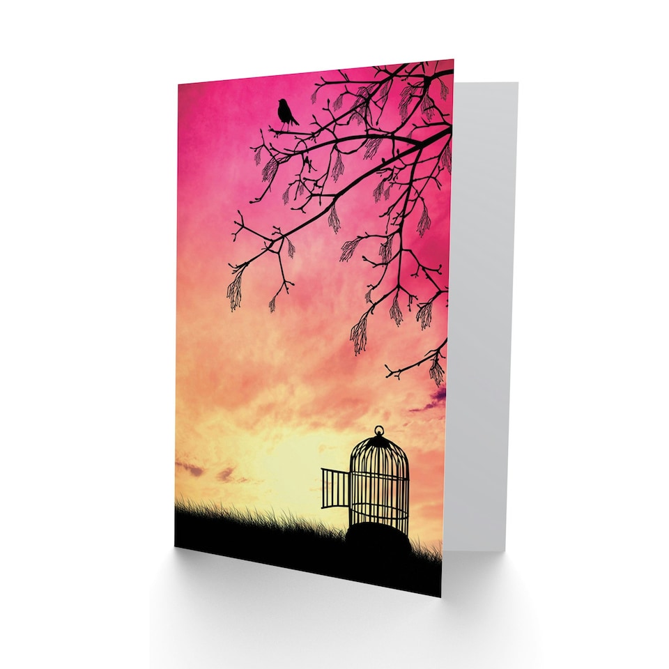 image 1 of Goodbye Travel Freedom Bon Voyage Open Cage Pink Greeting Card