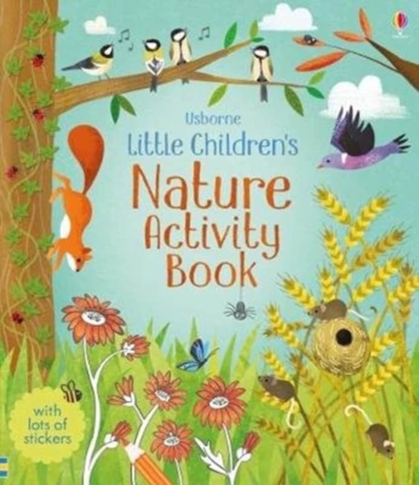 Little Children's Nature Activity Book Paperback