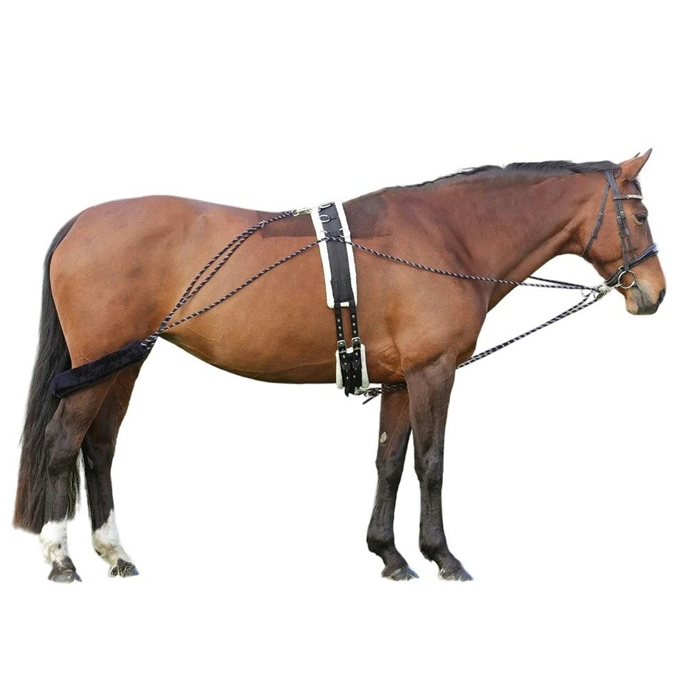 image 1 of Hy Horse Lunging System - Navy/Grey - One Size