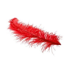 Red Ostrich Feathers - Pack of 5