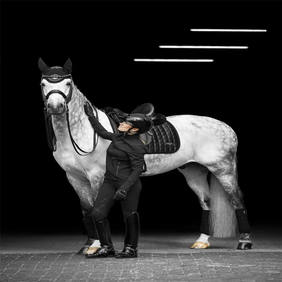 image 1 of LeMieux Loire Classic Dressage Square Purple | Large