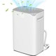 image 1 of HOMCOM 20L/Day Small Dehumidifier for Home Damp Laundry, with 24H Timer