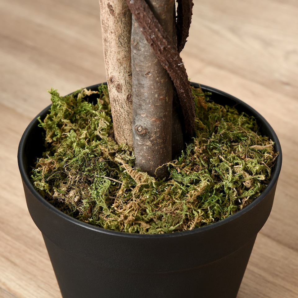 image 1 of Outsunny 160cm5.2FT Artificial Ficus Silk Tree with Nursery Pot, Decorative Fake Plant, for Indoor Decor