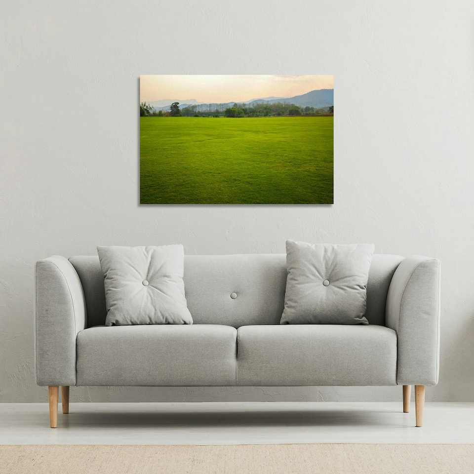 image 1 of image of lush grass field (Canvas Print)