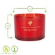 image 3 of Nicola Spring Soy Wax Scented Candle - 350g - Wild Fig & Cassis
