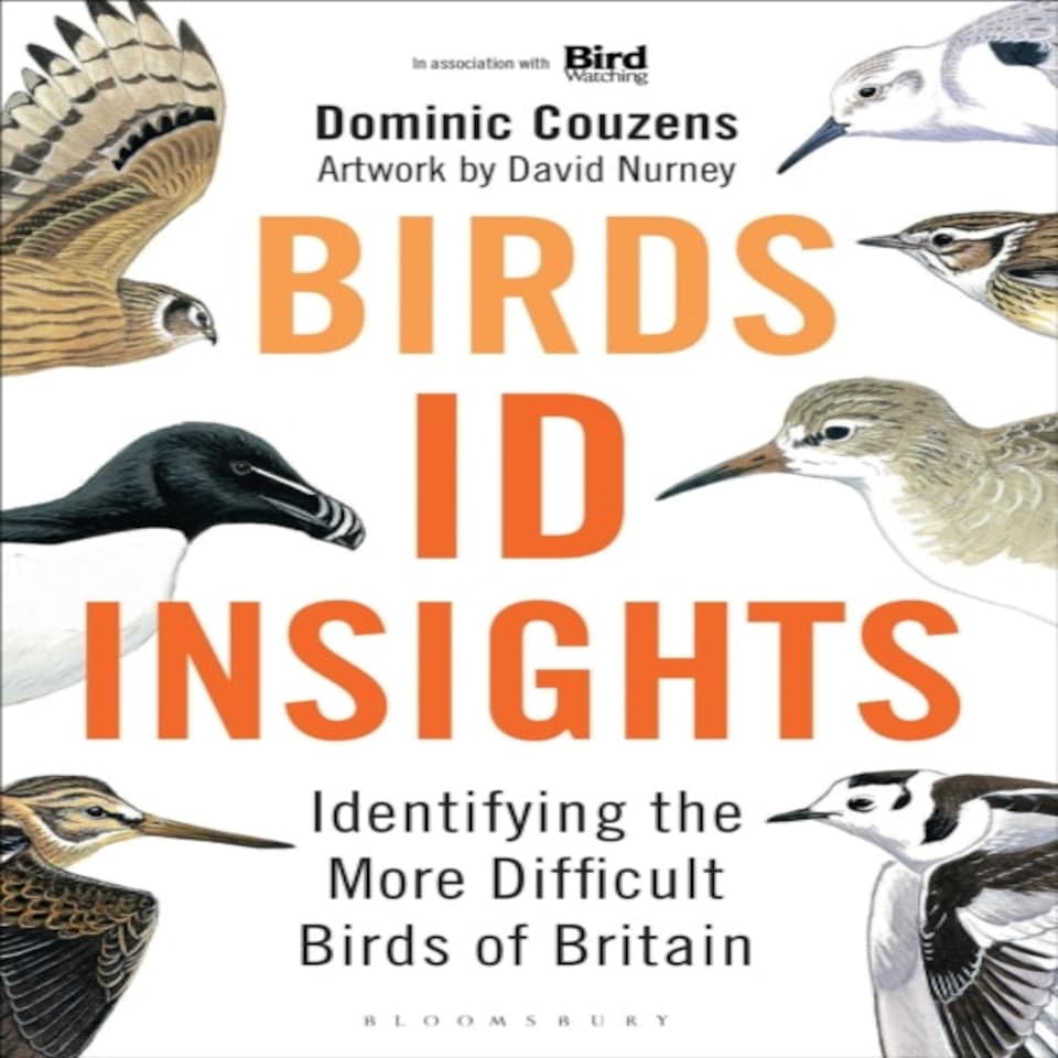Birds: Id Insights
