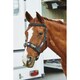 image 2 of Kincade Coordinate Lunge Cavesson - Black - Cob