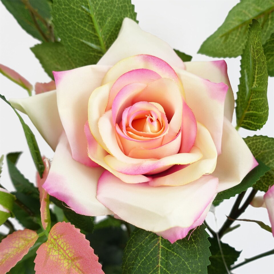 image 1 of 50cm Artificial Pink Rose Plant