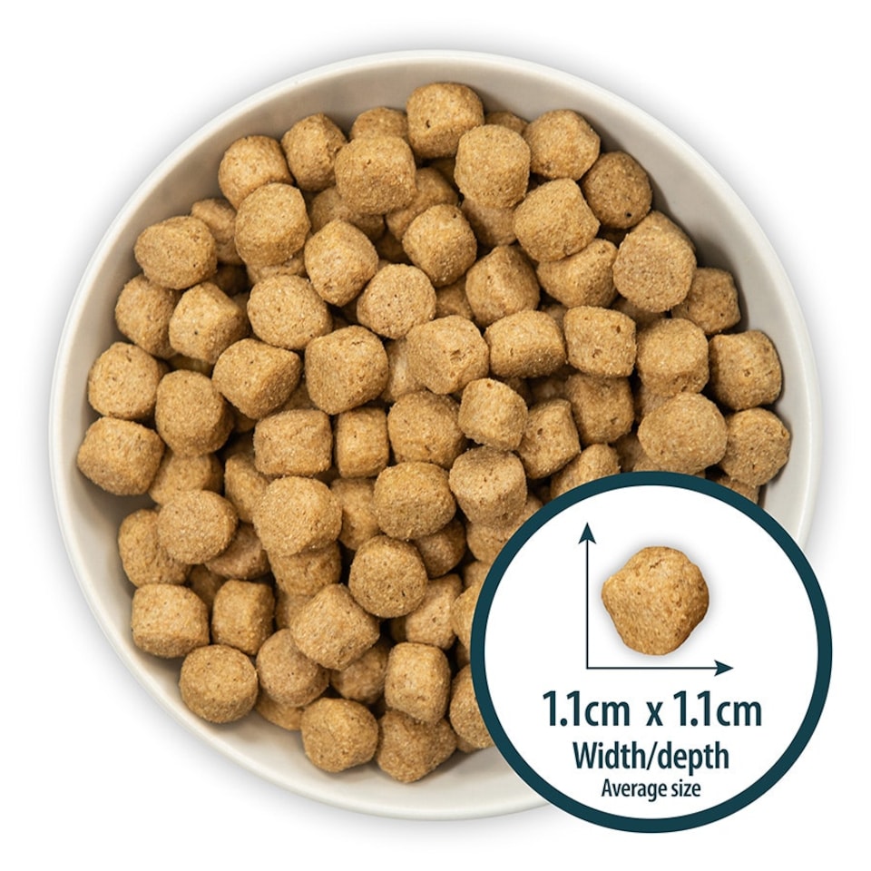 image 1 of Burns Weight Control Chicken & Oats Dry Dog Food - 2 kg