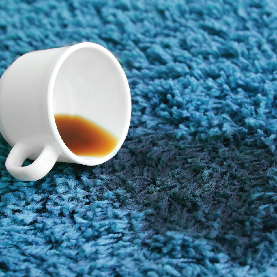 image 1 of Vytronix WSH60 Wet & Dry Vacuum, Carpet Washer & Blower