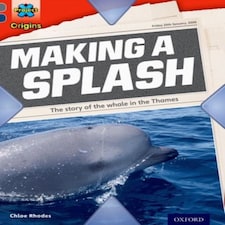 Project X Origins: Grey Book Band Oxford Level 14: In The News: Making A Splash