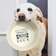 image 4 of Pre-personalised Dog Bowl Featuring Popular Names, Breeds and Captions - Harley - Over 60 Titles Available