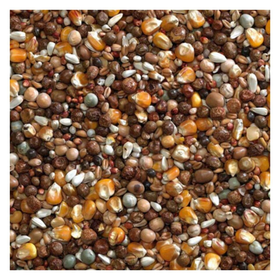 image 1 of Bucktons Breeding Mix 20kg Pigeon Food
