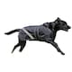 image 1 of Firefoot 2 in 1 Waterproof Reflective Dog Coat - Black - 51cm
