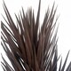 image 3 of Artificial Yukka Tree Plant Spiky UV Resistant Outdoor Tree Triple Dark Red and Brown Botanik Brown | One Size