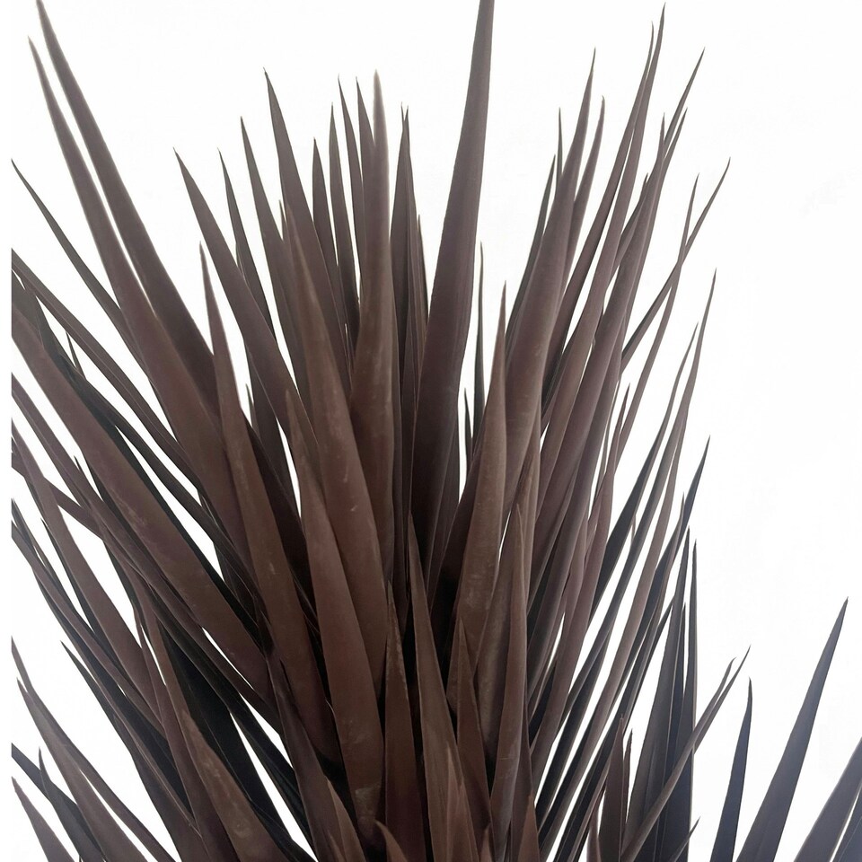 image 1 of Artificial Yukka Tree Plant Spiky UV Resistant Outdoor Tree Triple Dark Red and Brown Botanik Brown | One Size