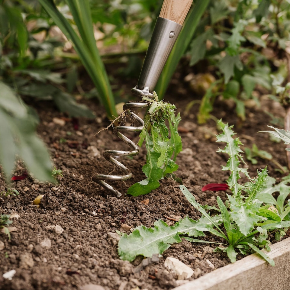 image 1 of Kent & Stowe Stainless Steel Hand 3 Prong Cultivator | Multi | One Size