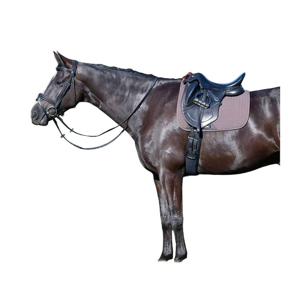 image 1 of Weatherbeeta Prime Air-Tec Comfy Fleece Horse Dressage Saddlepad | Brown | Brown | Pony | 1