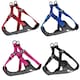 image 2 of Dog Harness - Bunty Strap 'N' Stroll Black | M