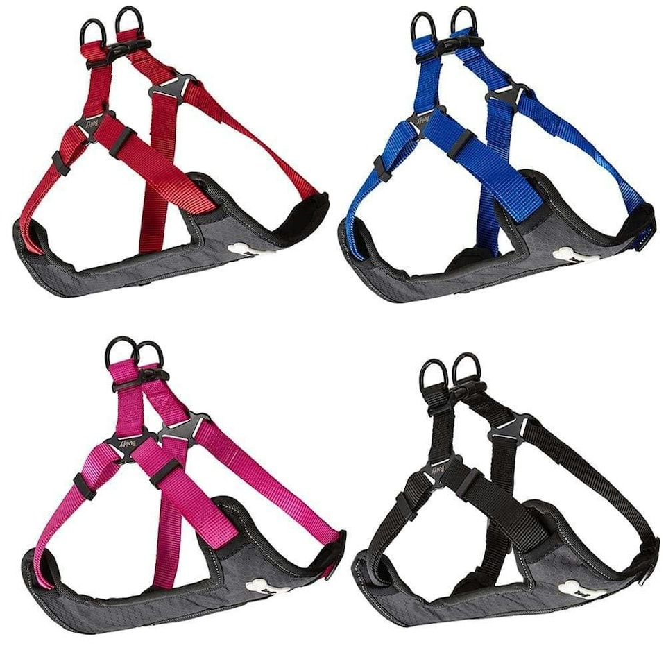 image 1 of Dog Harness - Bunty Strap 'N' Stroll Black | M