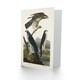 image 2 of John James Audubon Art Card Goshawk and Stanley Hawk