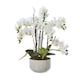 image 1 of Large Orchid in Pot - Plastic/Ceramic - L60 x W65 x H76 cm - White