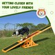 image 5 of PawHut Wooden Pet Seesaw for Big Dogs with Anti-Slip Surface, Natural