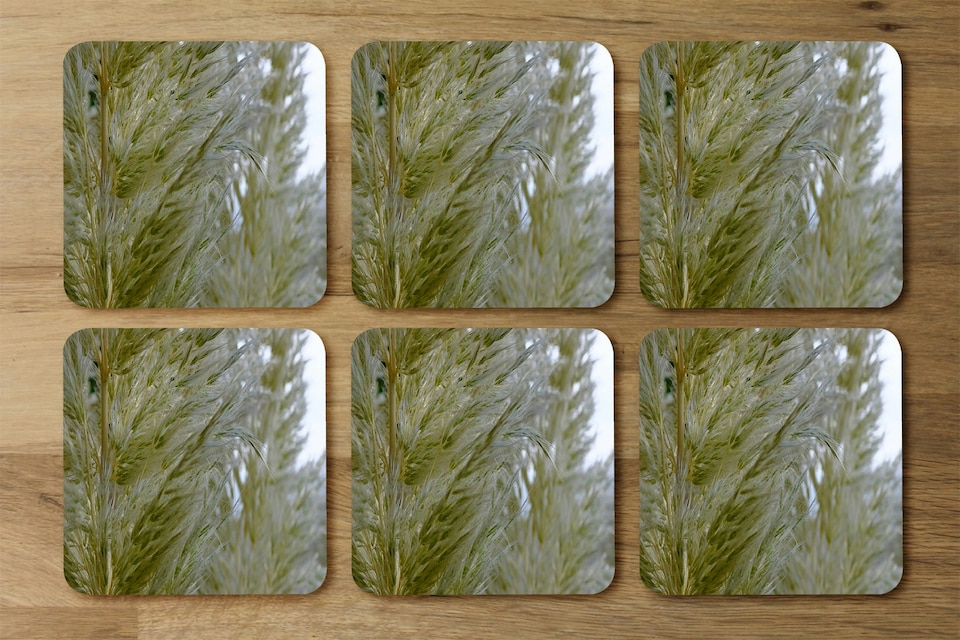 image 1 of autumn pampas grass close up (Placemat & Coaster Set)