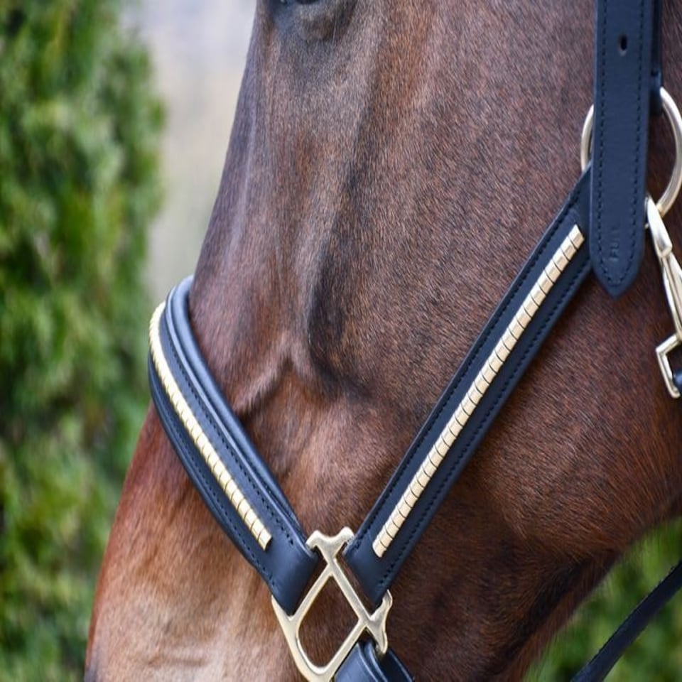 image 1 of Rhinegold Bellagio Leather Headcollar Brass Clincher Brown | Size: Cob
Colour: H.Brown