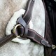 image 3 of Salisbury Leather Stitch Horse Breastplate - Australian Nut - X Full